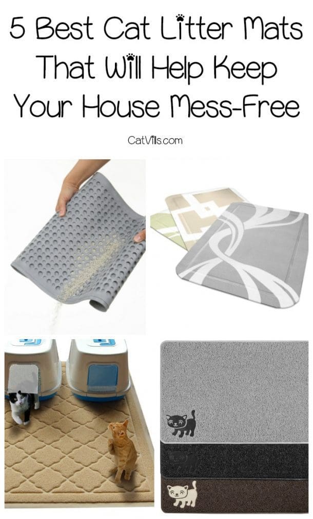 5 Best Cat Litter Mats To Keep Your House MessFree