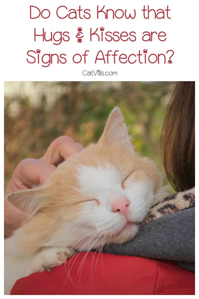 Do cats know that hugs and kisses are signs of affection from us, or do they think we're just being weird? Find out the answer, it may surprise you!