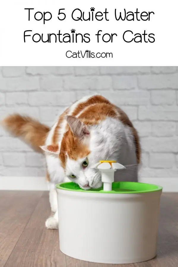 5 Best Quiet Water Fountains for Cats (2024 Review)