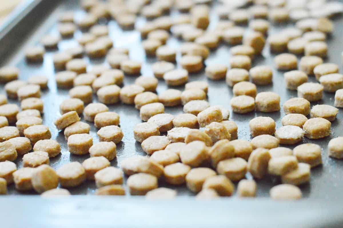 Homemade Salmon Cat Treats Recipe