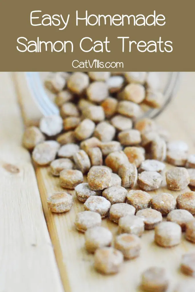 Homemade Salmon Cat Treats Recipe - CatVills