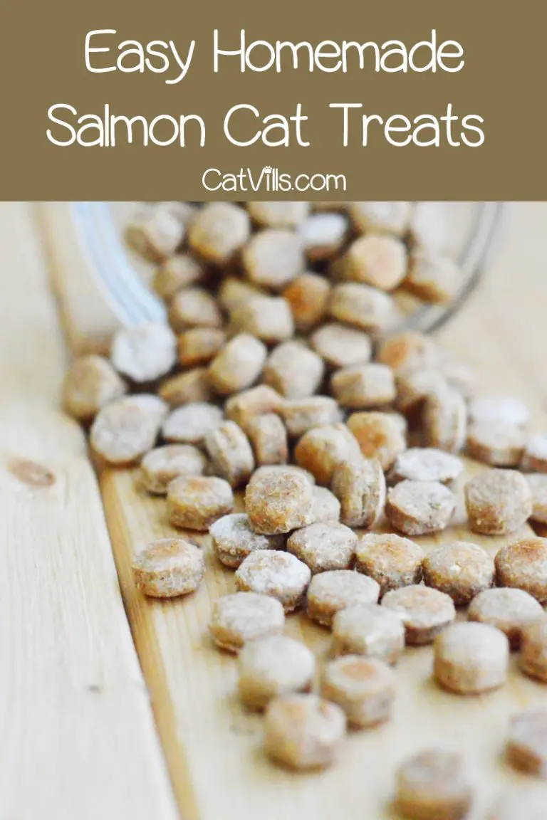 Homemade Salmon Cat Treats Recipe: Flavors of Love