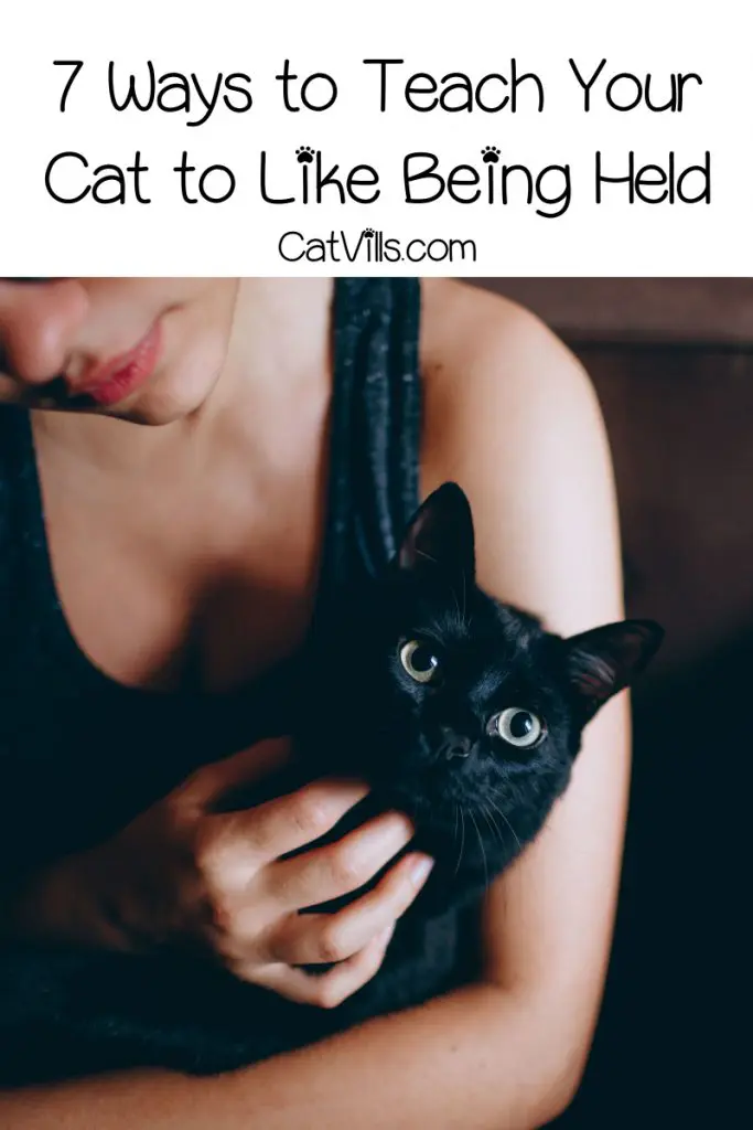 Wondering how to get your cat to let you hold her? Read on for tips to encourage a super independent kitty to do a little more snuggling!