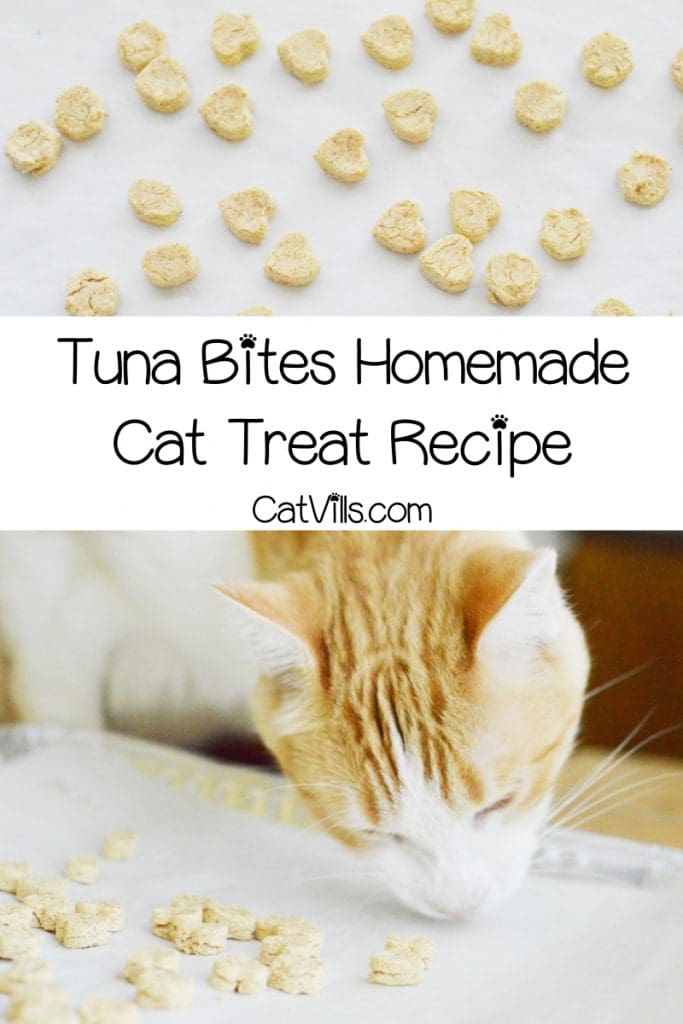 If you're looking for an easy homemade cat treat recipes for a sensitive stomach, you'll love our tuna bites! Check out the 4-ingredient recipe now!
