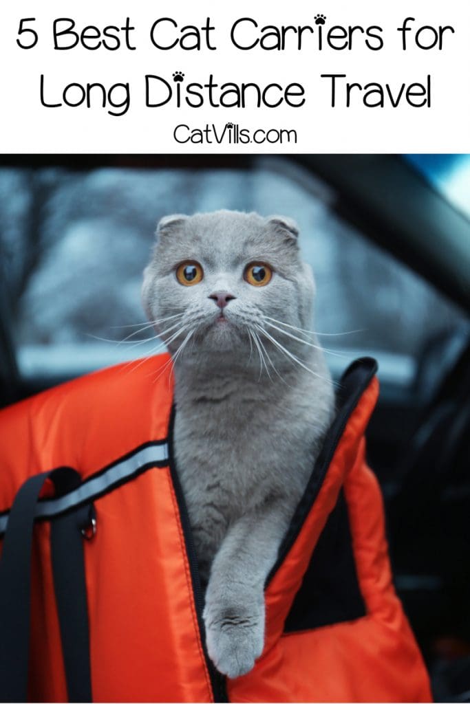 5 Best Cat Carriers for Stress-Free Travel: Safe and Secure