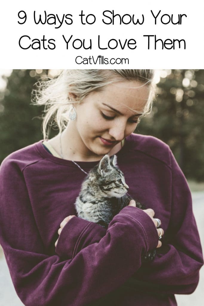 ways to tell your cat you love them