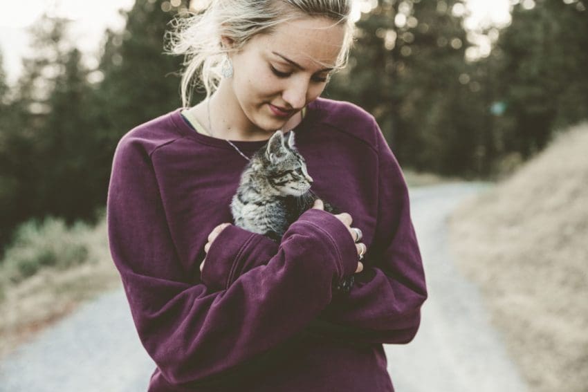 9 Ways to Show Your Cat You Love Them f