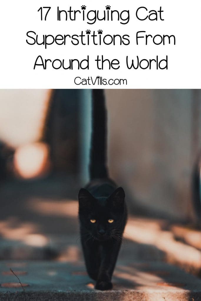 This list of cat superstitions around the world proves that cats really do have a long history. Loved or hated, they were a part of it!