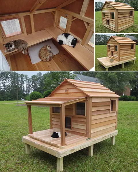 cool cedar cat cottage