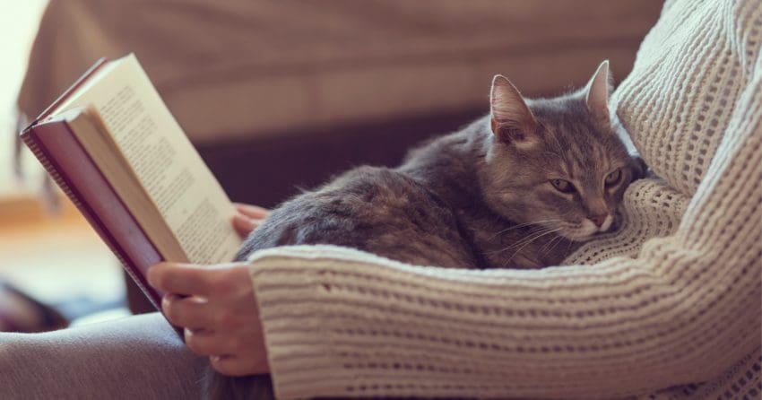 Building a trusting relationship with your kitty takes time, but these 10 ways to bond with your cat can help make it go a lot smoother.