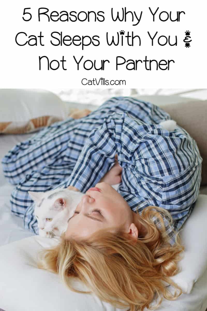 Wondering why your cat sleeps with you and not your husband or wife? Like all cat behaviors, there actually are reasons! Read on to learn what they are.