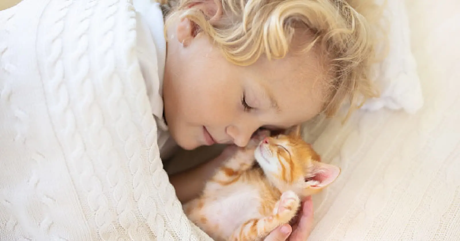 11 Fascinating Reasons Why Cats Like to Sleep With Their Owners