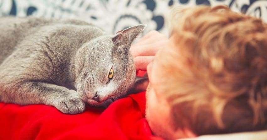 Why do cats like to sleep with their owners? The answers are more intriguing than you might think! Find out what they are!