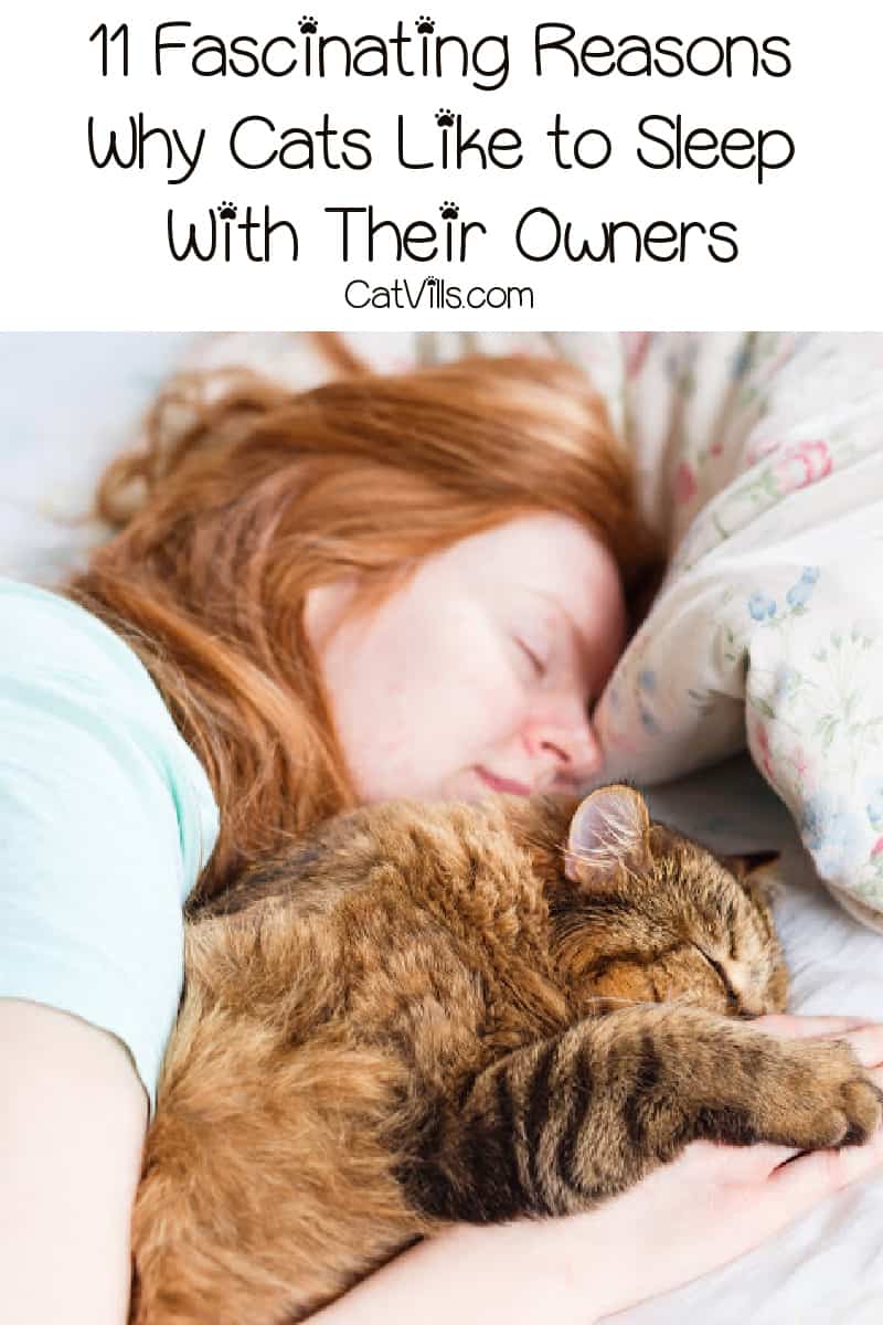 Why do cats like to sleep with their owners? The answers are more intriguing than you might think! Find out what they are!