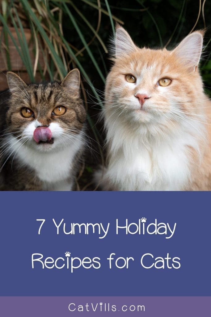 Looking for some great cat Thanksgiving and Christmas cat treat recipes? We’ve got you covered! 
Check out 7 ideas that are perfect for the holidays (or any other time of the year)!  