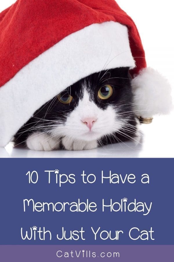 Spending the holidays alone with just you and your cat? Read on for ten tips to make it a memorable and special occasion together!