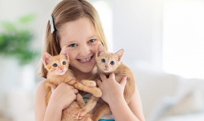 Needs tips on "how to convince my parents to get a cat"? Check out our guide to getting the kitty of your dreams after mom and dad said "no."