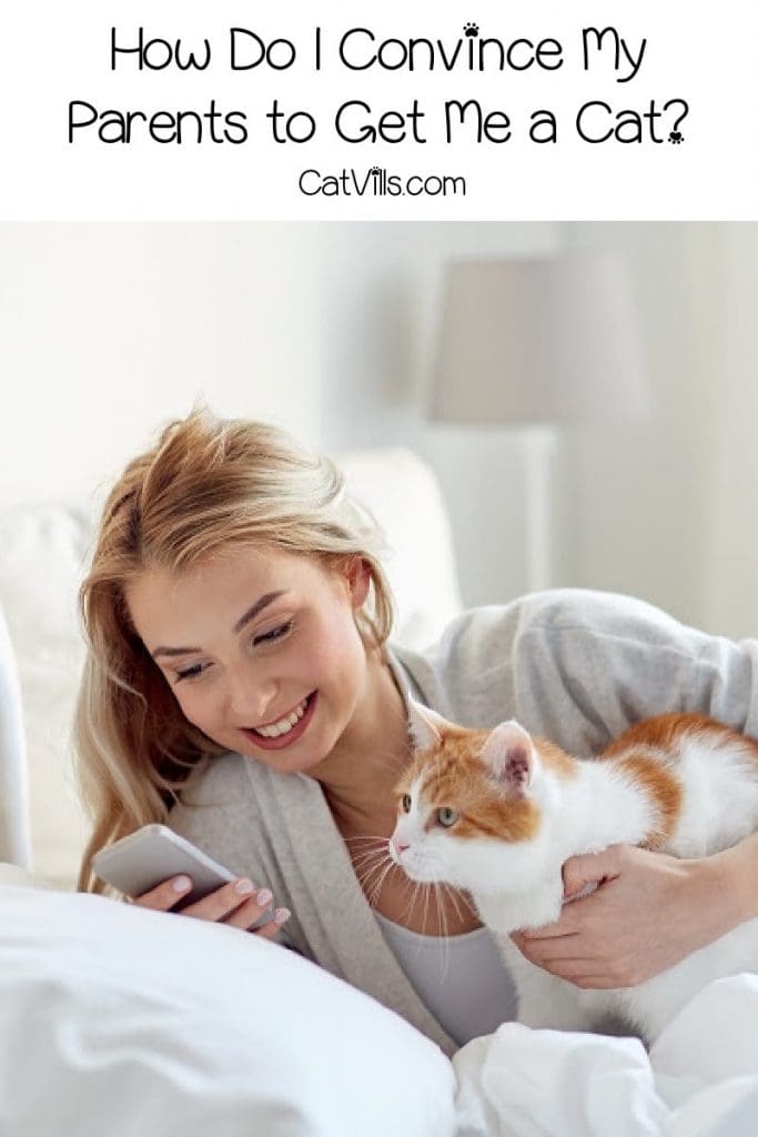 presentation to convince parents for cat