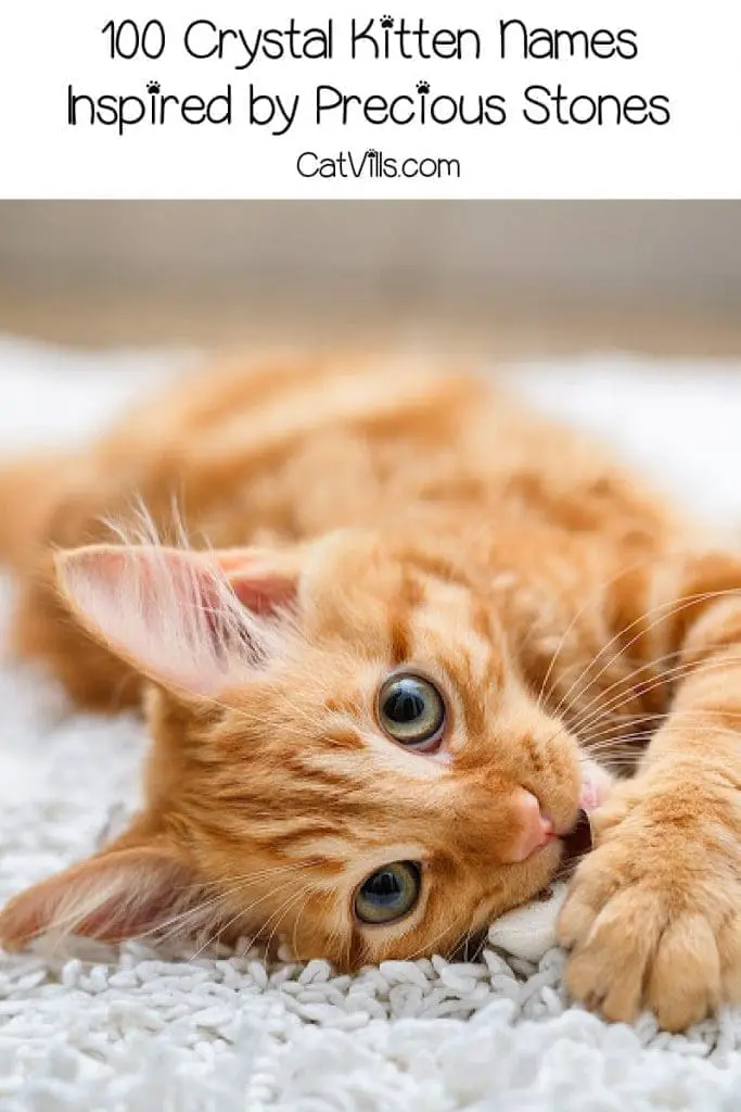 Need the perfect moniker for your magical new furbaby? Check out these 100 beautiful crystal kitten names inspired by precious gems!