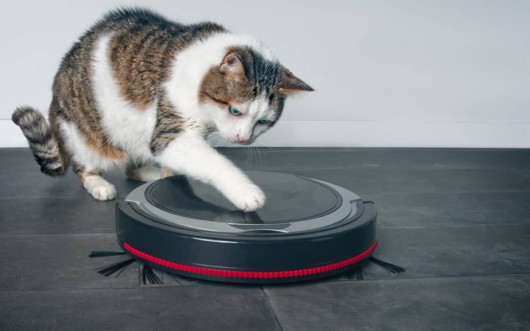 18 Best Vacuums for Cat Litter (with In-Depth Reviews)