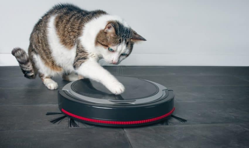 From uprights to handheld to robots, we're looking at all the BEST vacuums for cat litter in every category. Check out our full reviews!