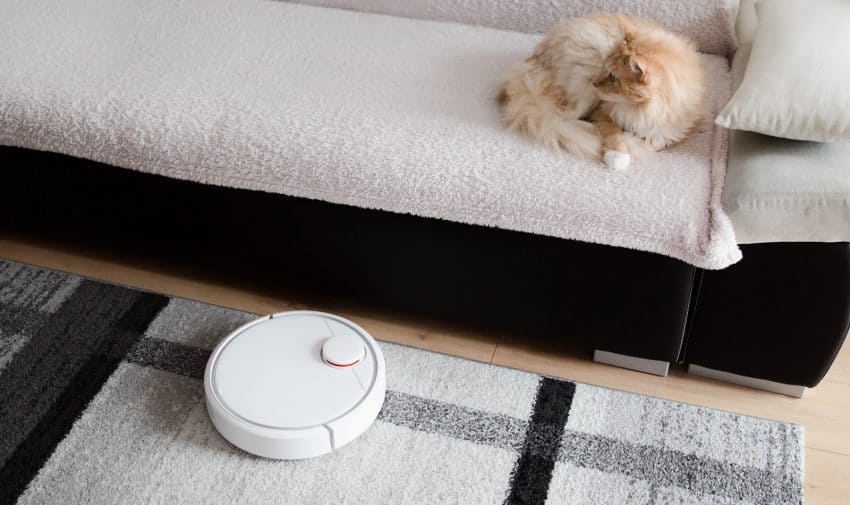 From uprights to handheld to robots, we're looking at all the BEST vacuums for cat litter in every category. Check out our full reviews!