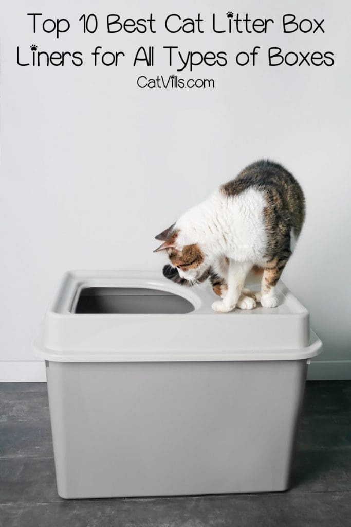 Looking for the best cat litter box liners for top entry boxes (or any other box, for that matter)? Check out our complete reviews of the top 10!