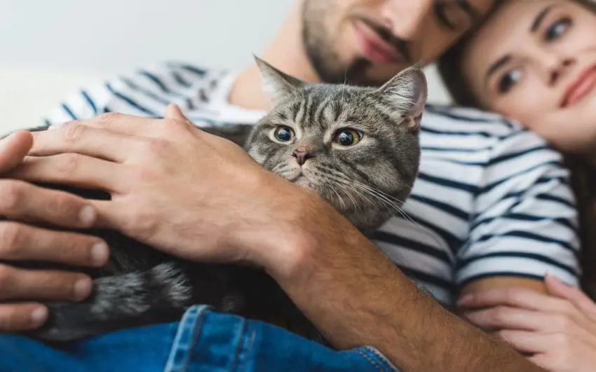 cat lover couple holding cat in hands and embracing