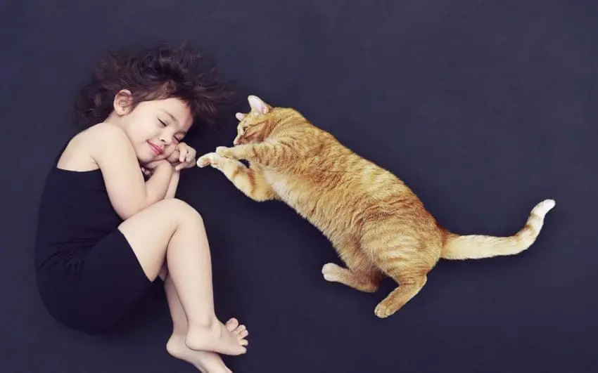 a fat cat sleeping beside a cute girl
