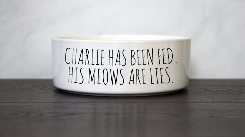 Funny Cat Food Bowl, Ceramic Pet Bowl
