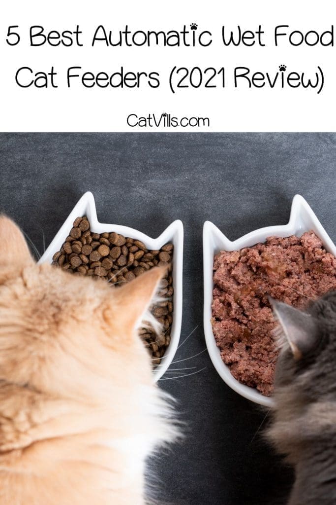 Best Automatic Wet Food Cat Feeder Top 5 Picks for 2021