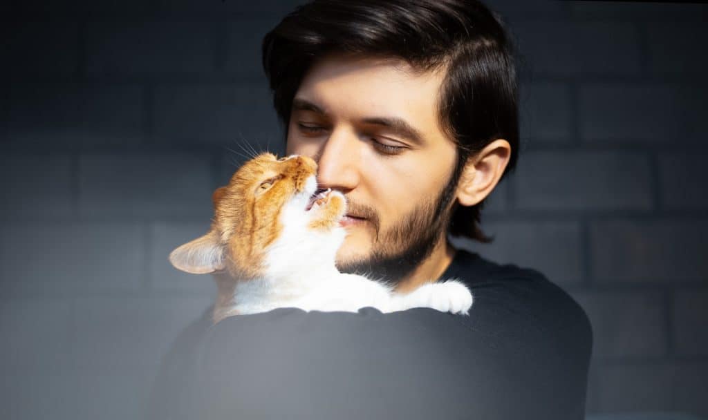 why-does-my-cat-nibble-my-nose-and-how-to-stop-it