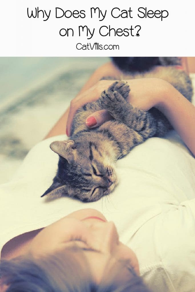 Cat sleeping on the chest of a young boy