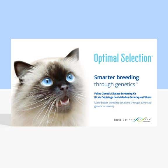 Optimal Selection™ Feline