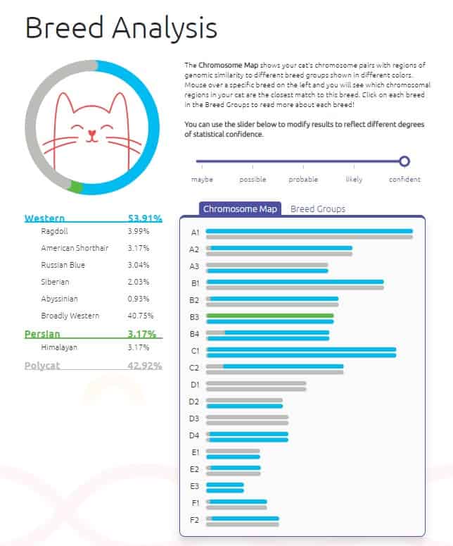 basepaws cat dna test breed analysis