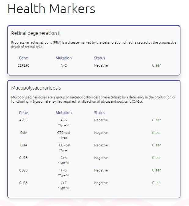 basepaws cat dna test health report sample