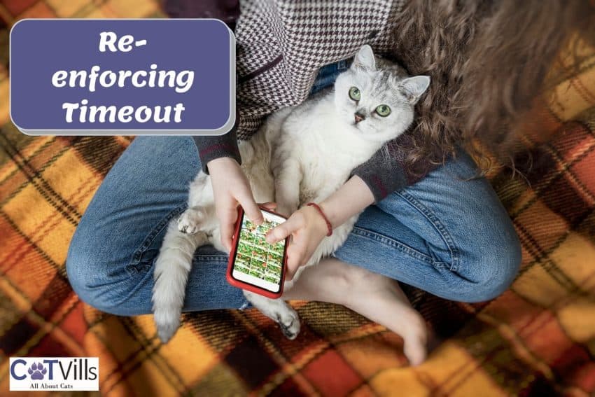 cat sitting on a lady's lap while she is playing games on her phone