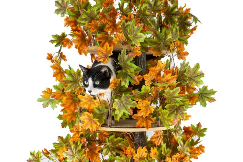 On2Pets Cat Tree fall variety