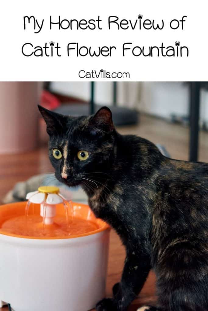 calico cat drinking from a catit flower fountain