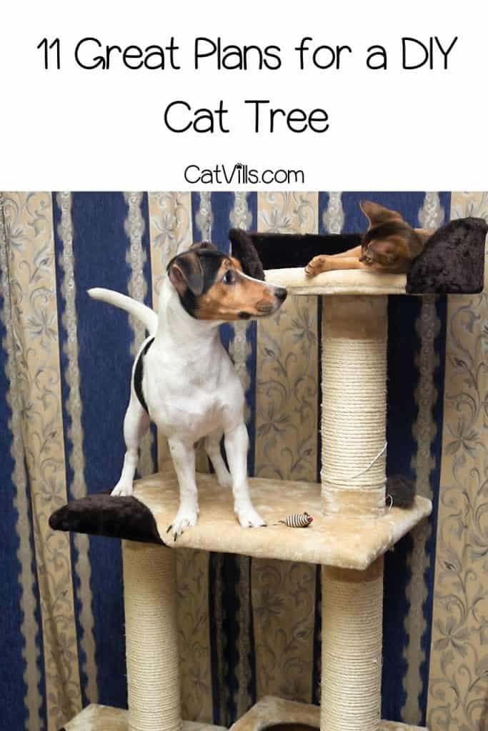 dog and cat playing on the DIY cat tree