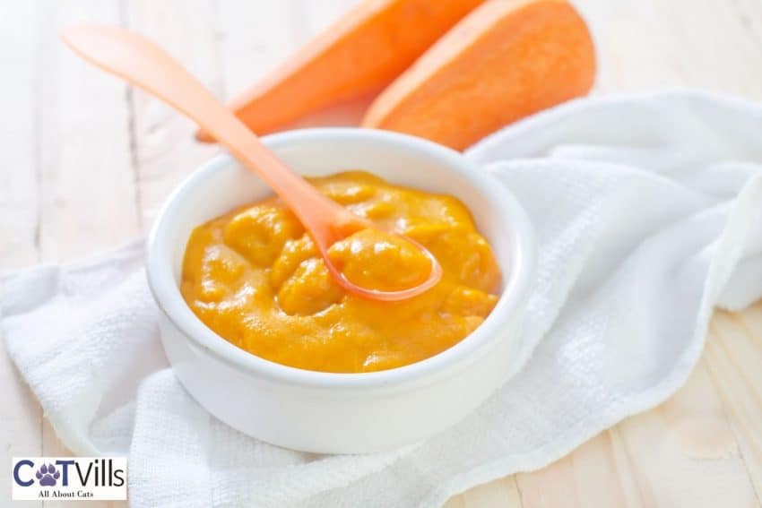 baby food made out of carrots