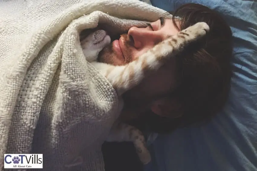 cat deeply sleeping with his owner