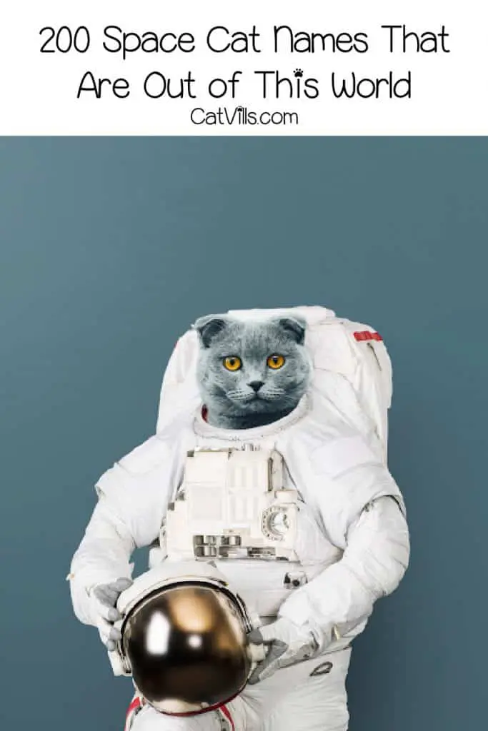 space cat names b