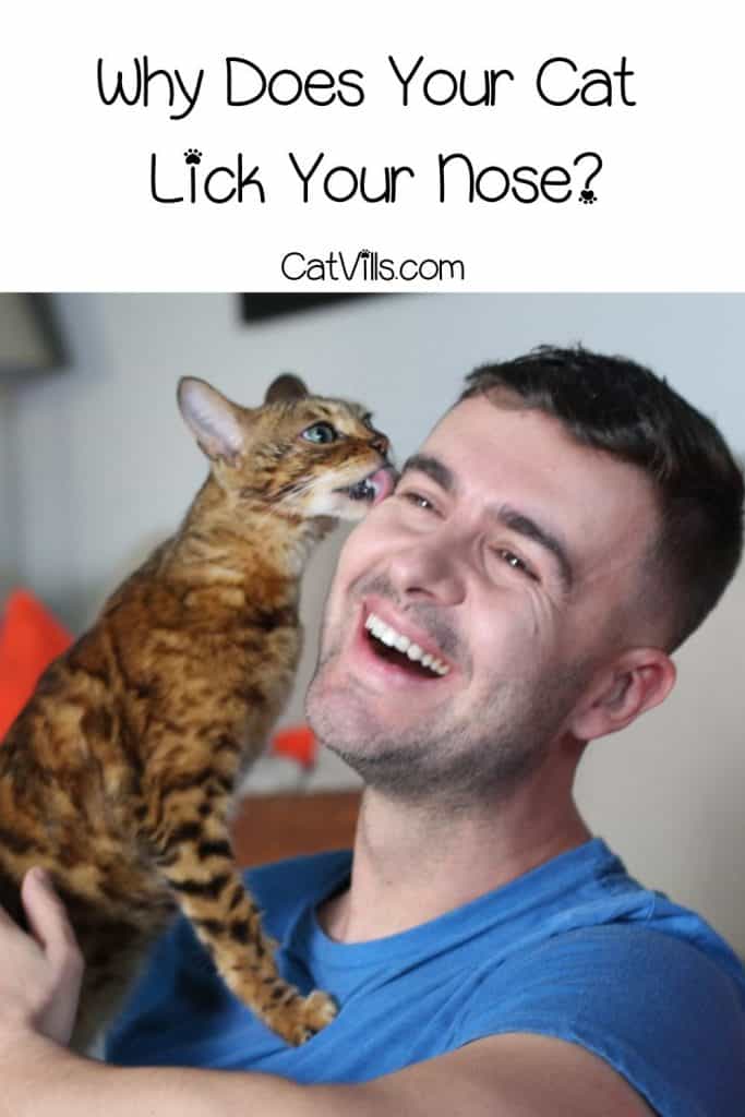 man holding his cat licking his face