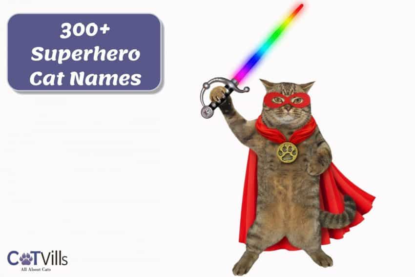 cat holding a laser sword and wearing a red cape: superhero cat names