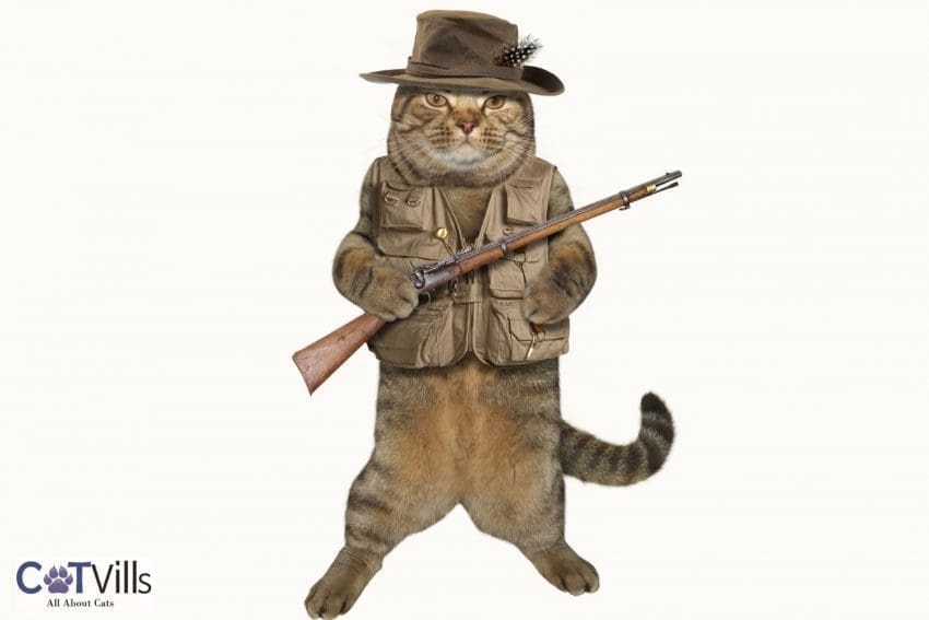 villain cat dressed with a hat holding a gun suitable for villain cat names