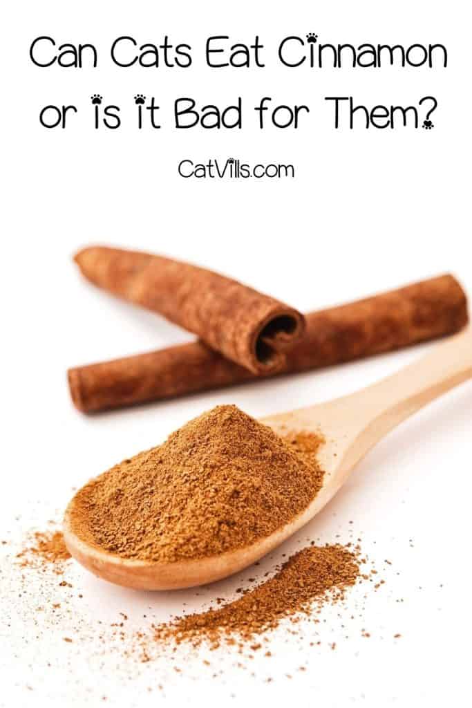 powdered cinnamon on a wooden spoon