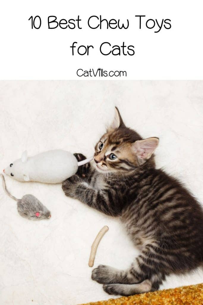 kitten chewing chew toys for cats
