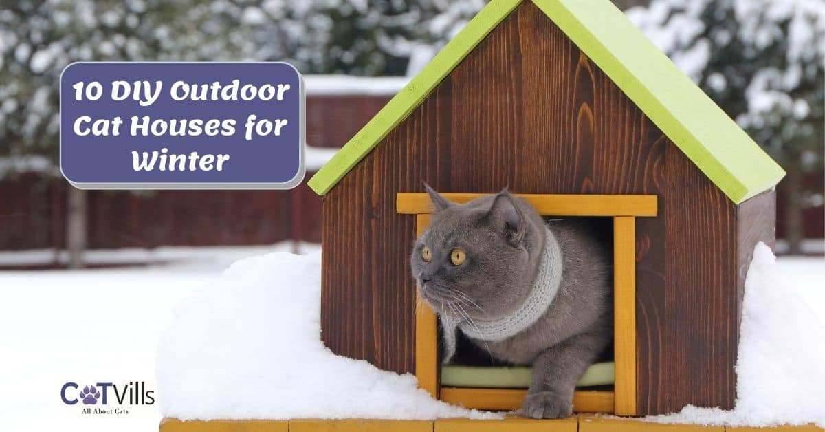 Petsfit Outdoor Cat House With Escape
