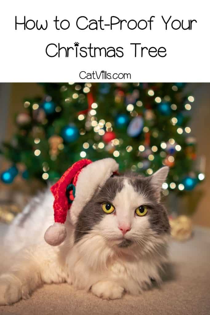 cat wearing a Santa hat